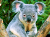 Captcha image 8535