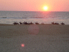 Captcha image 2900