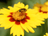 Captcha image 5418